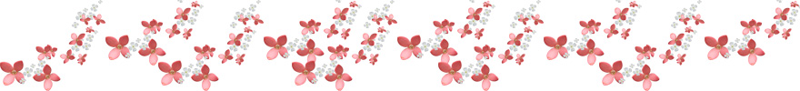 花々の画像